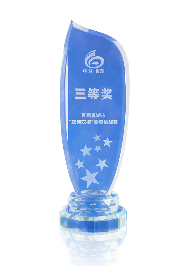 首届巢湖市双创双标菁英挑战赛三等奖
