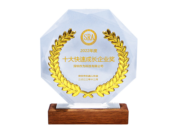 2022年度十大快速成长企业奖