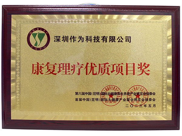 康复理疗优质项目奖