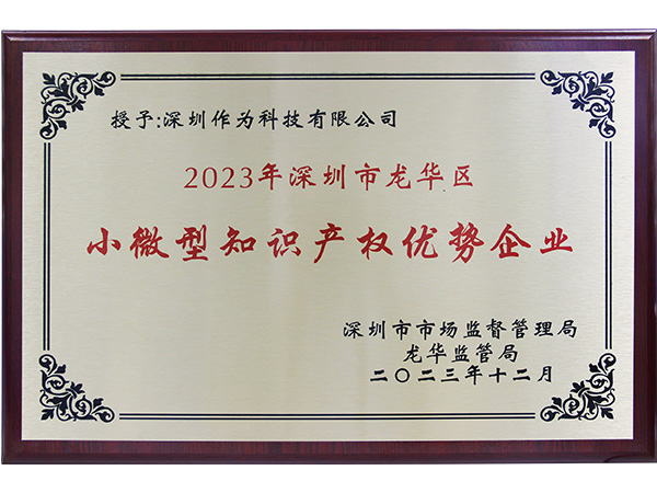 2023年深圳市龙华区小微型知识产权优势企业