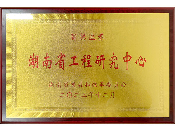智慧医养湖南省工程研究中心
