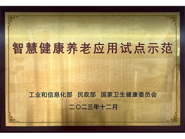 智慧健康养老应用试点示范