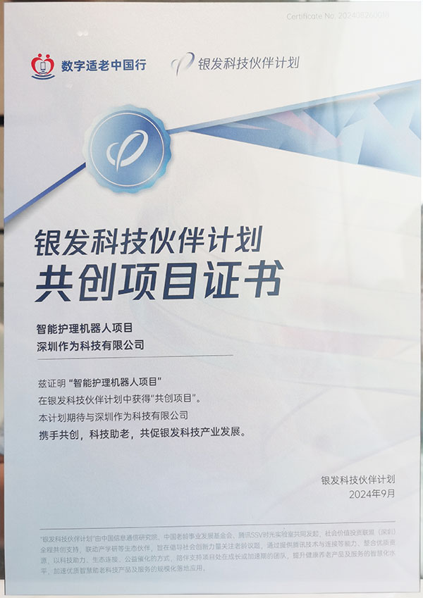 2024年“银发科技伙伴计划”共创项目
